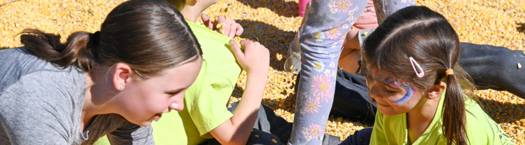 South Shore YMCA Corn Festival 2024: A Kernel of Joy for All Ages - South Shore YMCA